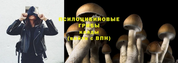 винт Володарск